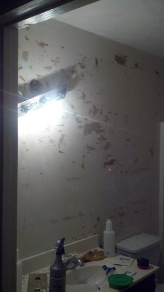 repair walls after removing wallpaper
 Repairing drywall after removing wallpaper - DoItYourself.com ...