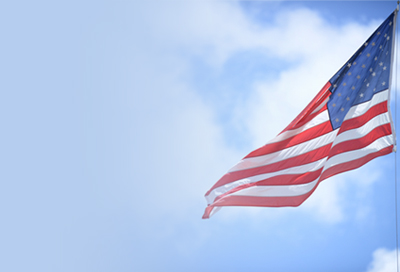 voyaretirementplans Retirement | Voya For Professionals